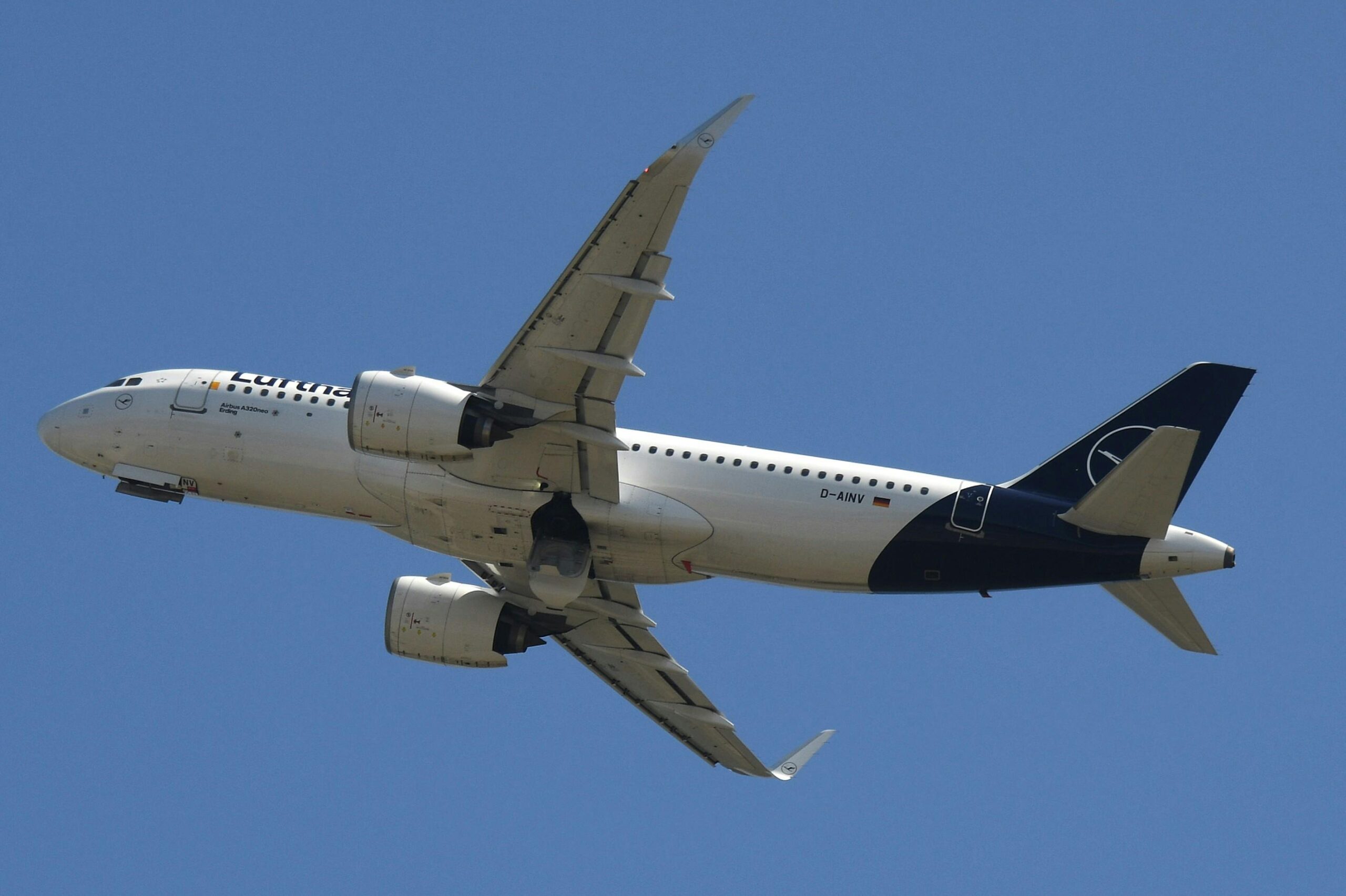 Passenger stranded at airport after airline bankruptcy cancels all flights 2026